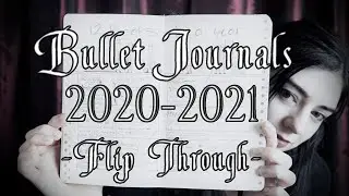 My 2020 Bullet Journal Flip Through || Victorian Deadrose