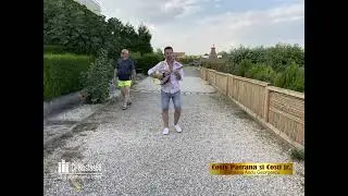 Bouzouki instrumental l Σήκω χόρεψε συρτάκι l Síko khórepse sirtáki l Muzica greceasca l Dj nunta