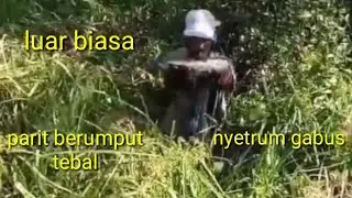 nyetrum ikan gabus!! di parit dalam hasilya memuaskan