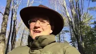False Hellebore in the Swamp April 20,2020