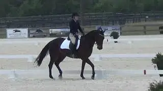 Nim Stable View First Level Test 2