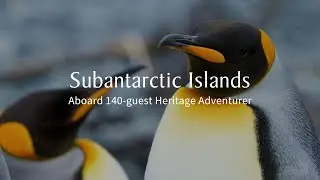Introducing the Subantarctic Islands with Heritage Expeditions