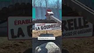 🍁 Come with me to try my very first sugar shack in Qu&eacute;bec&hellip; and here are 5 sweet spots near Montreal
