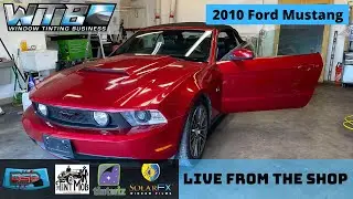 Watch LIVE Now: Ceramic Window Tinting! | 2010 Ford Mustang | By Sun Solutions Tinting