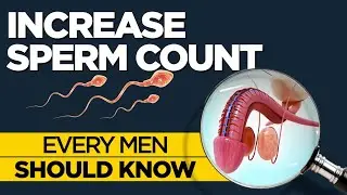 Foods That Increase Sperm Count & Motility | Boost Male Fertility Naturally After 40