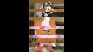 Stuffed Goose Company