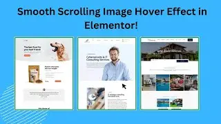Image scrolling effect on hover with Elementor Pro | WordPress Development | Elementor Pro Expert