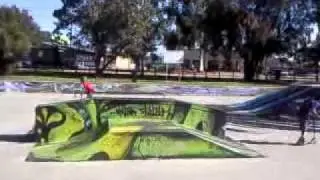 willeton skatepark