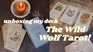 Unboxing the First Edition of my Tarot Deck! The Wild Wolf Tarot
