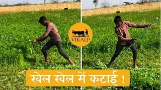 चारा काटना बन गया बच्चों का खेल | Barseem Cutting by Kids with Vikalp Scythe