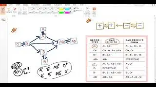 blood donor / blood recipient; UNIVERSAL DONOR; UNIVERSAL ACCEPTOR