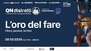 QN Distretti - L&rsquo;oro del fare: filiere, persone, territori