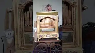 Disney Pixar Medley - Raffin 31/100 organ