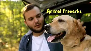 English Wisdom: Mastering Animal Proverbs For Language Learners!  #proverbs