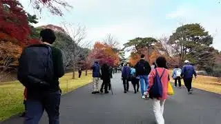 Tokyo Imperial Garden (Autumn) - 皇居東御苑 HDR | 4K