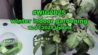 #WIG2025 Обновление от 21.12.2025