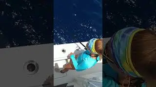 Deep Drop Fishing. #fishing #florida #nature #ocean #fish