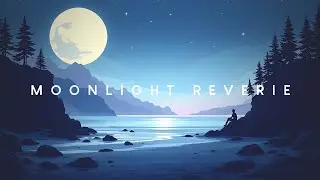 Moonlight Reverie | Emotional Chill Music Mix