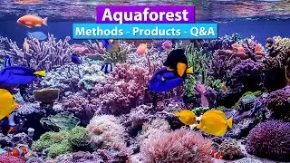 Aquaforest - Methods, Products Q&A