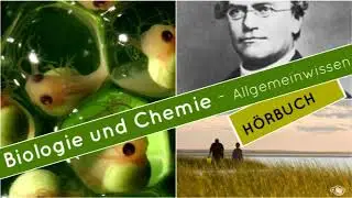 🔥Biologie und Chemie Allgemeinwissen    Doku H&ouml;rbuch komplett