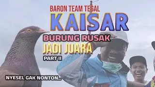 KUPAS TUNTAS MERPATI KAISAR TEAM BARON TEGAL  -  ENDING 