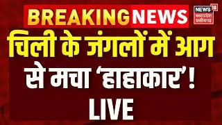 Chile Wildfire LIVE : चिली के जंगलों में आग से &lsquo;हाहाकार&rsquo;! कई लोगों की मौत | South America | Breaking