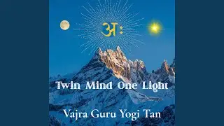 Twin Mind One Light (female vocalist)