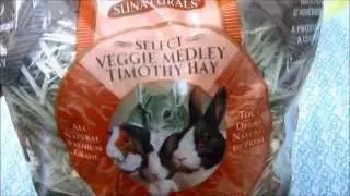 Petstore Vlog & Haul
