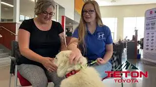 Pet of the Week: Winter