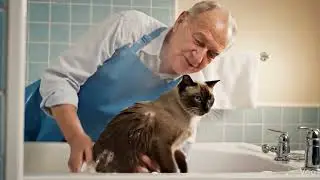 Stop the Cat Bathing Chaos! 😼 How to Bathe Your Cat the Right Way#cat  #HowToBatheACat#StressFreeCat