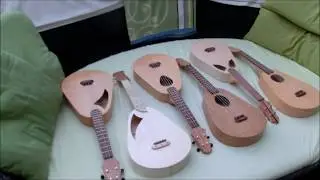 Ukulele Baukurs 2018 -  