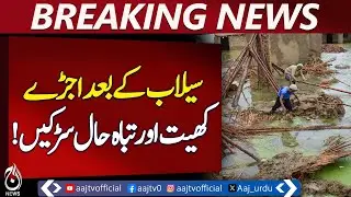 Jalalpur Pirwala Flood Damage | Rural Recovery | Infrastructure Repair | Pakistan news