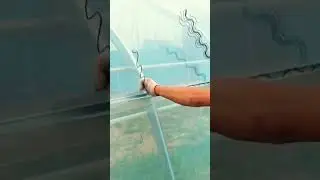 process of installing UV plastic in agricultural greenhouses #shorts