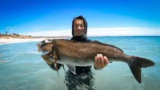 САМЫЙ БОЛЬШОЙ Даски Морвонг из всех!!!
