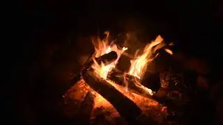 1st Michigan Colonial Fife and Drum Corps Holiday Nights 2018