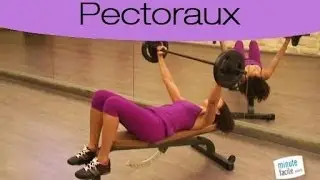 Muscler ses pectoraux  et ses triceps : le développé couché