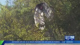 2 parachutists charged after allegedly leaping from Clays Ferry Bridge: 'I broke my leg'
