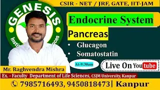 #Pancreas |Glucagon | Somatostatin L-9 |Animal Physiology|𝐆𝐞𝐧𝐞𝐬𝐢𝐬 𝐈𝐧𝐬𝐭𝐢𝐭𝐮𝐭𝐞 𝐨𝐟 𝐋𝐢𝐟𝐞 𝐒𝐜𝐢𝐞𝐧𝐜𝐞𝐬.