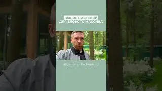 Выбор растений для елового массива #shorts