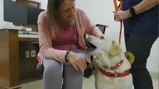 HealthBreak: Pet Therapy