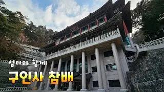 구인사에 다녀왔어요 부처님 감사합니다🙏💕🥰 251210 #구인사 #단양여행 #섬미투어 #여행 #travel #korea #summytour