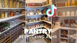 Ultimate Pantry Refill & Restock ASMR 💫 | TikTok Restocking Organizer