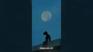 Nahi Aunga_________😌💯❤&zwj;🩹😫  #instagram #broken06 #love #sad #shaayri #viral #song #reels #editing.