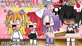 Don't cry for kitten meme (its my birthday!!!)