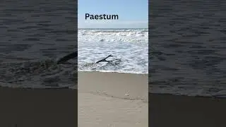 Italien, Villaggio dei Pini, Paestum, Strand-Impressionen. 