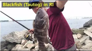My favorite blackfish (Tautog) fishing spot in the Fort Adams State Park, Newport, RI (8/14, 2021)