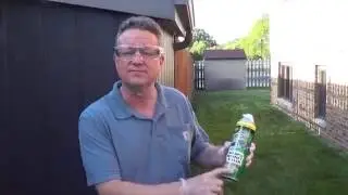 Wasp Spray