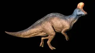 Tsintaosaurus spinorhinus (JW) Sound Effects