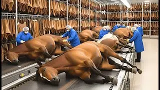 Inside the Horse Leather Factory – Where Million Dollar Luxury Is Made (FULL PROCESSS)