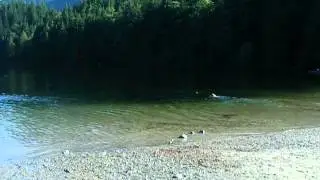 IMGP0153